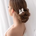 PH2_1026 Livia hairpin